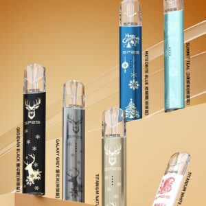 💎SP2S主機🎄聖誕限定款💎